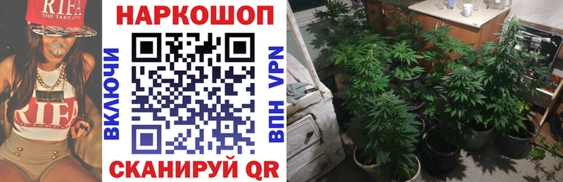 Лсд 25 Фёдоровский