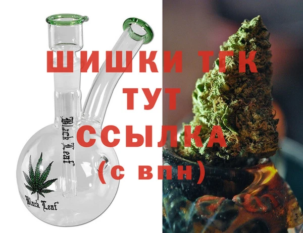 МДПВ Алексин