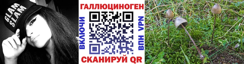 Псилоцибиновые грибы Magic Shrooms Фёдоровский